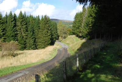 Walk photo