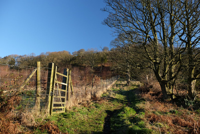 Walk photo