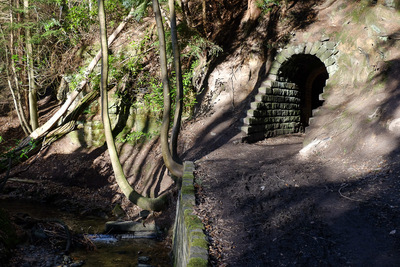 Walk photo
