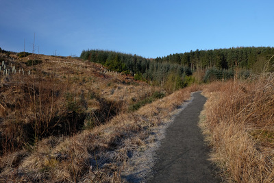 Walk photo