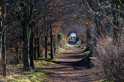 Walk photo