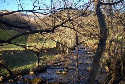 Walk photo