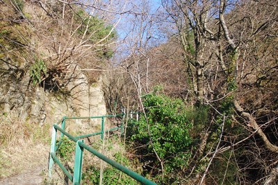 Walk photo