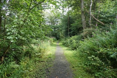 Walk photo