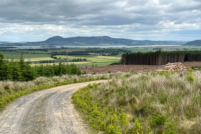 Walk photo