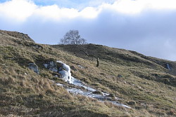 Fiarach