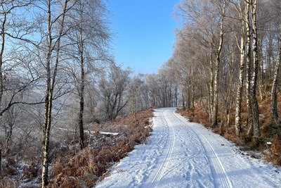 Walk photo