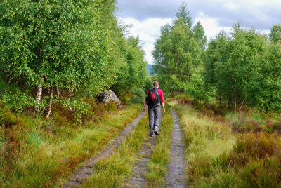 Walk photo