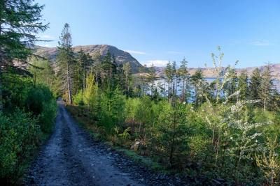 Walk photo