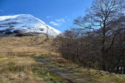 Walk photo