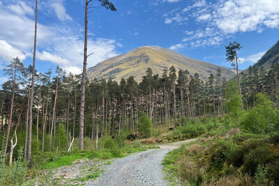Walk photo