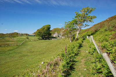 Walk photo