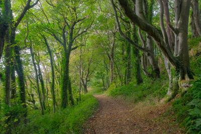 Walk photo