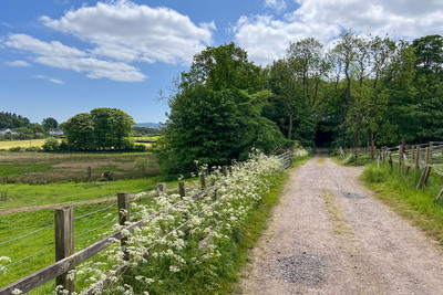 Walk photo