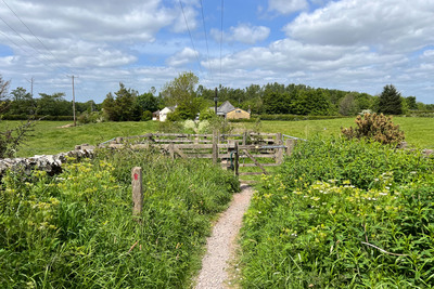 Walk photo