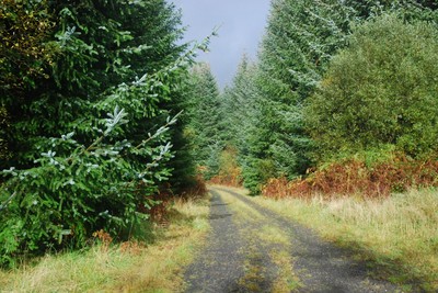Walk photo