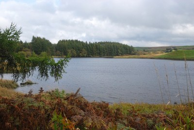 Walk photo