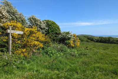 Walk photo