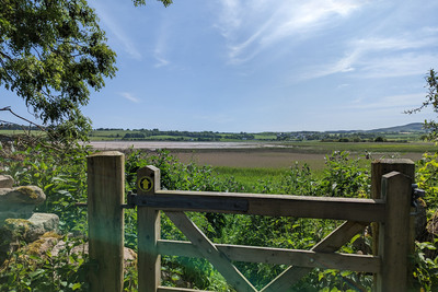 Walk photo