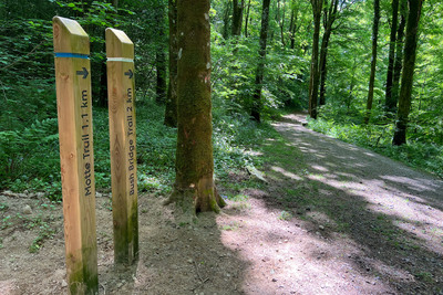 Walk photo