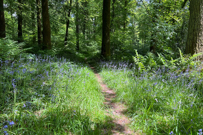Walk photo