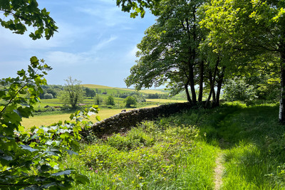 Walk photo