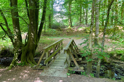 Walk photo