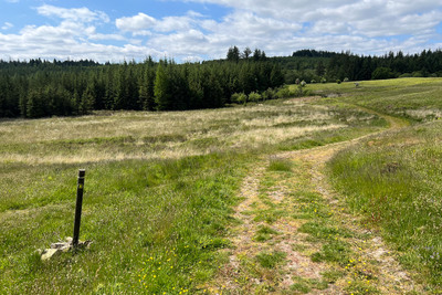 Walk photo