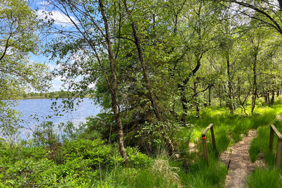 Walk photo