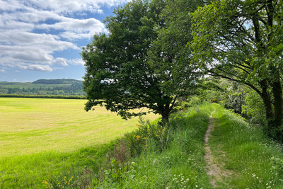 Walk photo