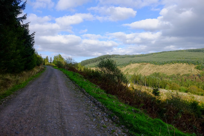 Walk photo