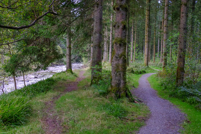 Walk photo