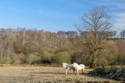 Walk photo