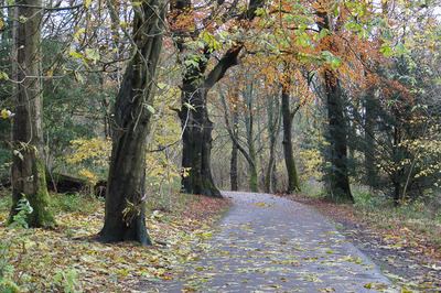 Walk photo