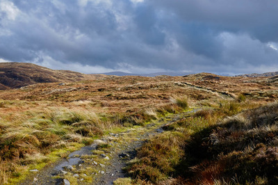 Walk photo