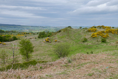 Walk photo