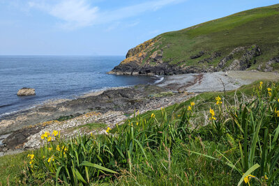 Walk photo