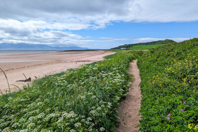 Walk photo