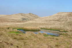 Gallt y Daren