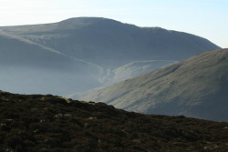 Great Borne