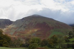 Gwaun y Llwyni