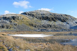 Moel Ysgyfarnogod