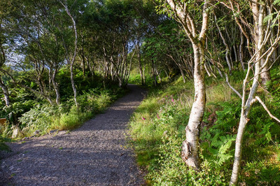 Walk photo