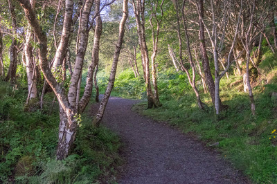 Walk photo
