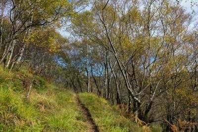 Walk photo
