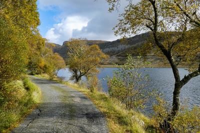 Walk photo