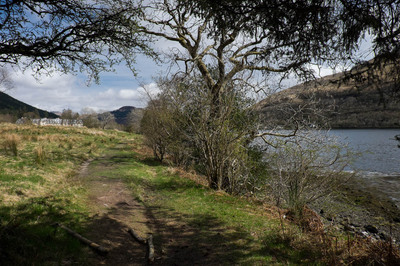 Walk photo