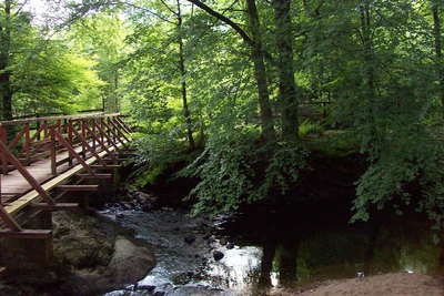 Walk photo