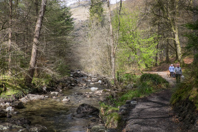 Walk photo