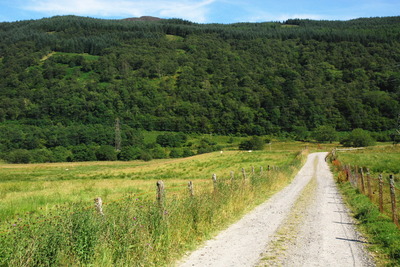 Walk photo